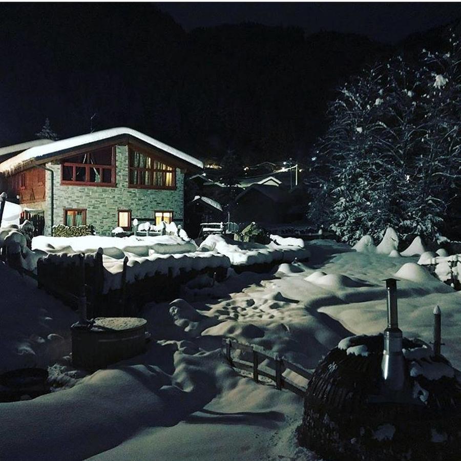 La Tana Dell'Orso Hotel & Spa Ponte Di Legno Exteriör bild