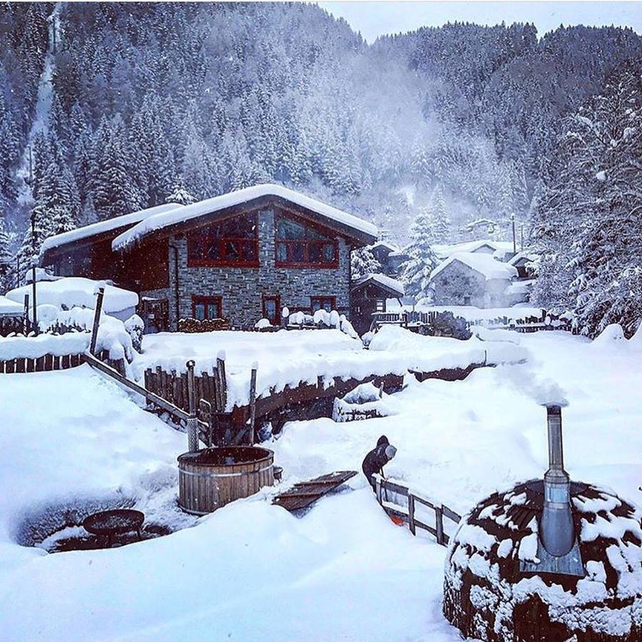 La Tana Dell'Orso Hotel & Spa Ponte Di Legno Exteriör bild