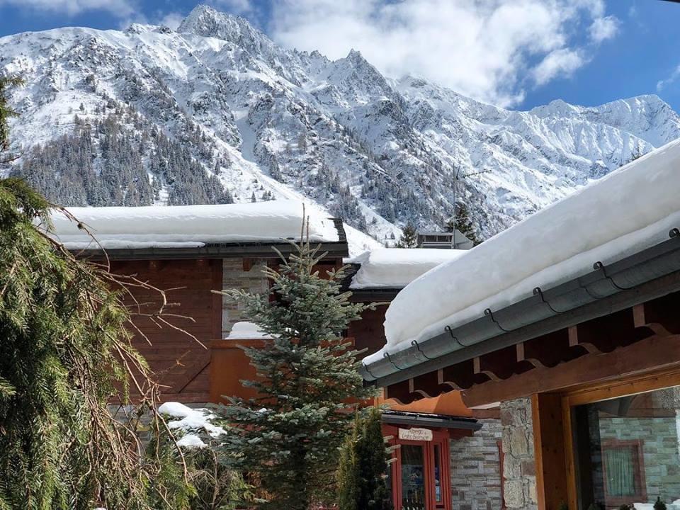 La Tana Dell'Orso Hotel & Spa Ponte Di Legno Exteriör bild