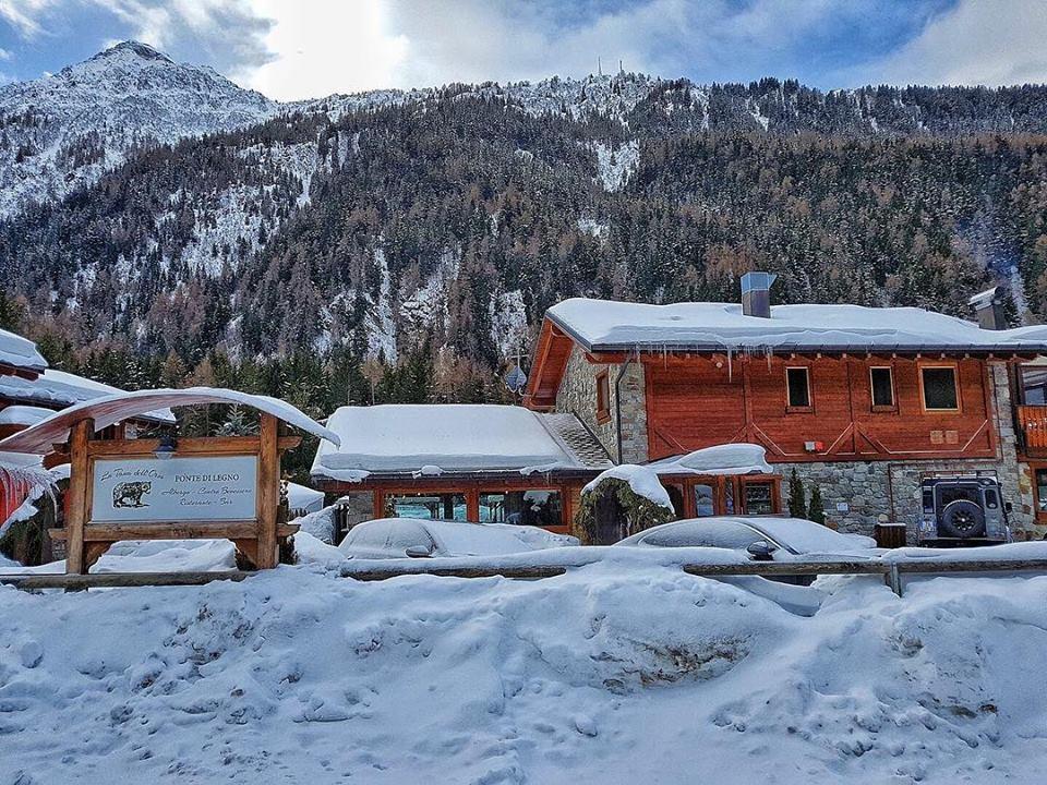La Tana Dell'Orso Hotel & Spa Ponte Di Legno Exteriör bild