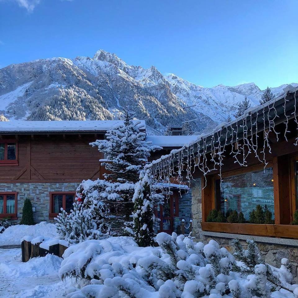 La Tana Dell'Orso Hotel & Spa Ponte Di Legno Exteriör bild